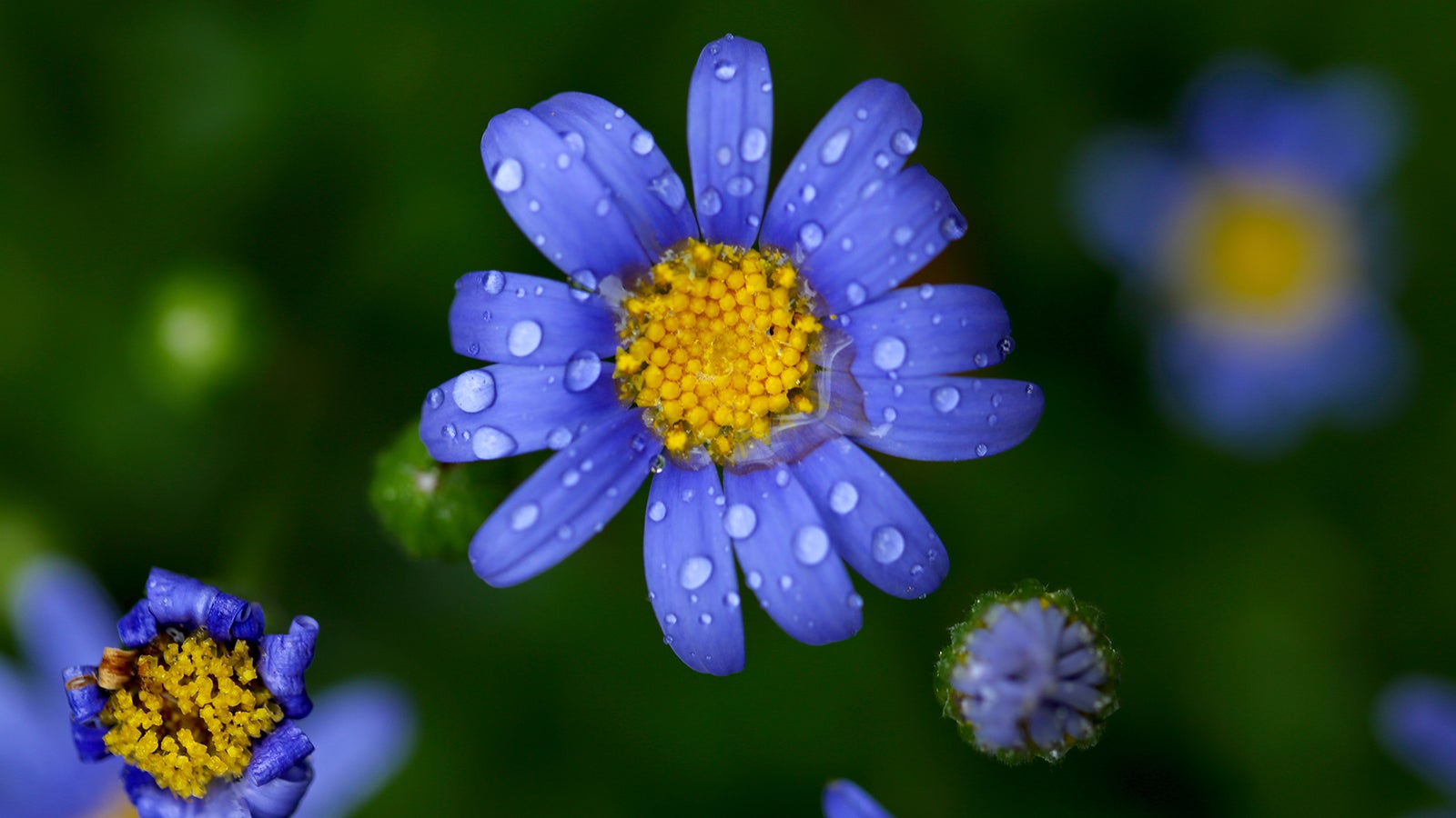 Der große Wochenausblick Nordatlantische Tiefs schieben goldenen